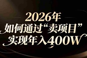 （16999期）2026年如何通过“卖项目”实现年入百万