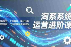 （16927期）淘系系统运营进阶课2.0，流程规范、工具教学、实战诊断，进阶突破，打造高盈利店铺模型
