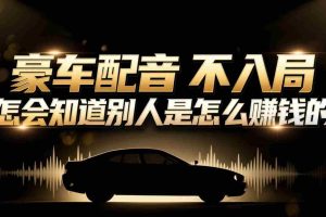 （16908期）小众暴利赛道：豪车配音软件玩法，操作简单暴力，单人日入可达15W