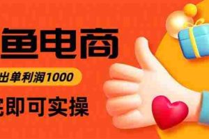 （16872期）闲鱼高利润电商，当天上架当天出单，一单利润300