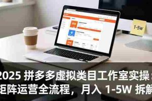 （16748期）2025 拼多多虚拟类目工作室实操：矩阵运营全流程，月入 1-5W 拆解