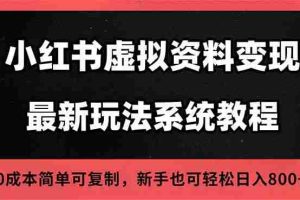 （16544期）2025小红书虚拟资料最新开店运营教程，搜索流变现玩法，一人多店0成本…