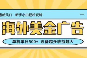 （16454期）最新蓝海项目，海外美金广告，单机单日500+，可矩阵放大，设备越多收益…