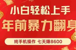 （16080期）七天狂赚8600，小白纯手机操作，日入1000+