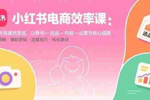 （15838期）小红书电商效率课：从账号搭建到变现，以养号-选品-内容-运营为核心链路