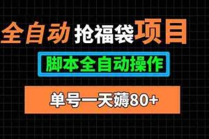 （15697期）全自动抢福袋项目，单号一天80+脚本全自动操作