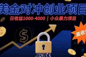 （15642期）美金对冲创业项目，日收益1000-4000，小众暴力项目