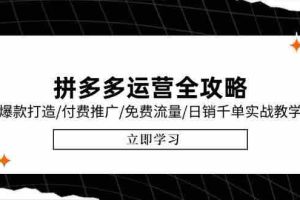 （15085期）拼多多运营全攻略，爆款打造/付费推广/免费流量/日销千单实战教学/6月更新