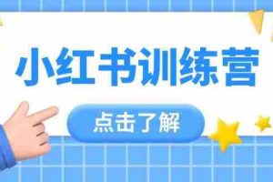 （14545期）小红书训练营，助小白入门，掌握技巧变达人，课程实操又全面（12节课）