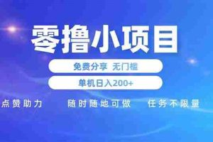 （14510期）零撸小项目免费分享 点赞助力 无任何门槛 手机随时可做  单日收益200＋