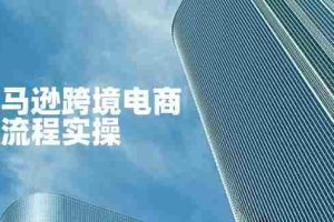 （14252期）亚马逊跨境电商全流程实操，教你从零开始，掌握店铺运营与广告技巧
