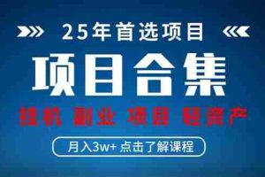 （14175期）2025 实操项目合集 挂机类型 直播类型 轻资产创业类型 课程分享各项目…