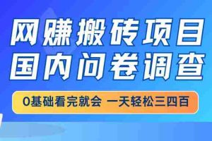 （14578期）网赚搬砖项目，国内问卷调查，0基础看完就会 一天轻松三四百，靠谱副业…