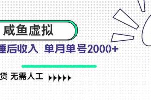 （14552期）咸鱼虚拟资料 自动发货 无需人工 单月单号2000+