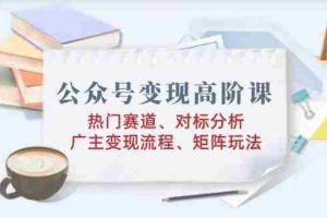（14177期）公众号变现高阶课：热门赛道、对标分析、广告主变现流程、矩阵玩法
