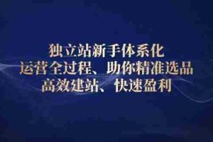 （13914期）独立站新手体系化 运营全过程，助你精准选品、高效建站、快速盈利