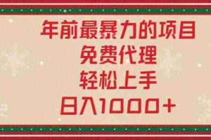（13773期）年前最暴力的项目，免费代理，轻松上手，日入1000+