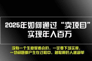 （13468期）2025年如何通过“卖项目”实现年入百万，做网赚必看！！