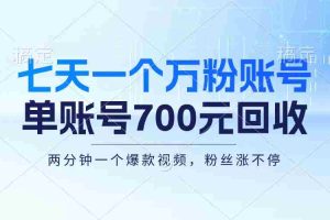 （13062期）七天一个万粉账号，新手小白秒上手，单账号回收700元，轻松月入三万＋