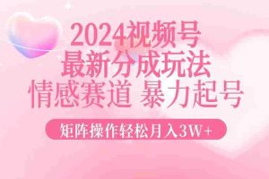 （12922期）2024最新视频号分成玩法，情感赛道，暴力起号，矩阵操作轻松月入3W+