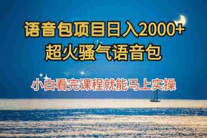 （12734期）语音包项目 日入2000+ 超火骚气语音包小白看完课程就能马上实操