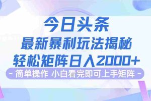 （12584期）今日头条最新暴利掘金玩法揭秘，动手不动脑，简单易上手。轻松矩阵实现…