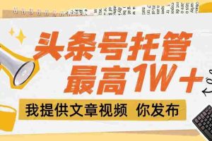 （15222期）【头条号托管 】团队提供文章视频，你发布，每天5分钟，最高躺挣1W+