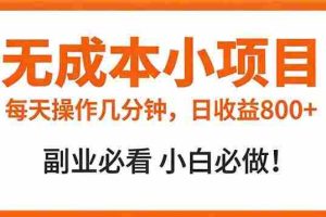 （17307期）无成本小项目 每天操作几分钟，真实日收益800+ 副业必看 小白必做！