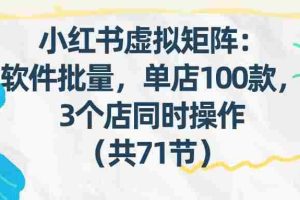 （17271期）小红书虚拟矩阵：软件批量发笔记，单店100款，3个店同时操作（共71节）