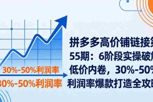 （17698期）拼多多高价铺链接第55期：6阶段实操破解低价内卷，30%-50%利润率爆款打造全攻略