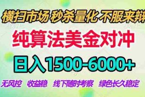 （17755期）2026美金掘金新风口-纯算法对冲震撼上线！日入1500-6000+，长久合规稳健，轻松摆脱死工资