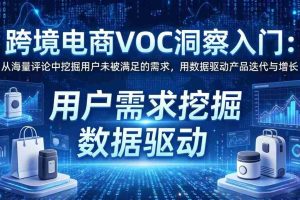 （17796期）跨境电商VOC洞察入门：从海量评论中挖掘用户未被满足的需求，用数据驱动产品迭代与增长