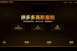 （17848期）拼多多高阶盈利年费会员(更新3月31)：全类目活动玩法、原价上大促、洗图防比价等核心盈利技术