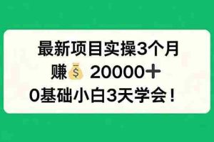 （17856期）最新项目实操3个月，赚钱20000+，0基础小白3天学会！